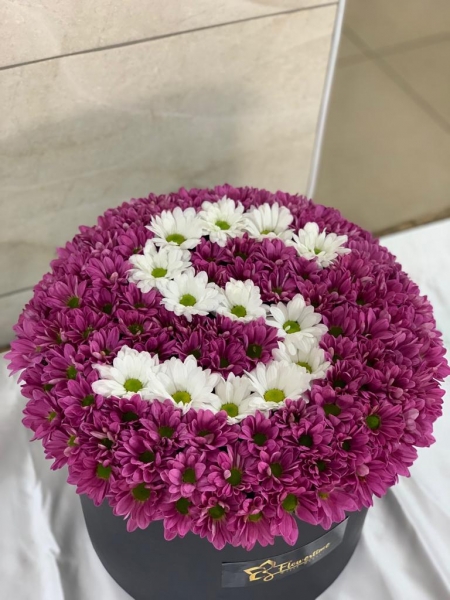 Kutu 02