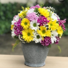 Vazoda Kır Çiçeği